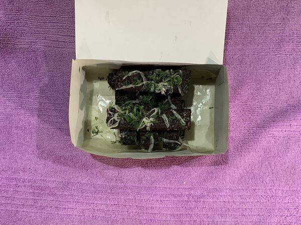 Ken Guru Food - Чесночные гренки