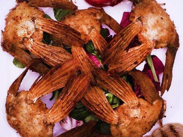 Акватория - Калтыки судака жареные