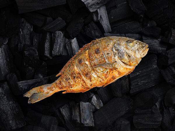 Good Food - Дорадо