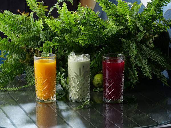 Dong po - Клюква-Брусника-Имбирь