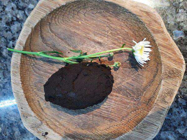 Кафе 38 - Пирожное Картошка