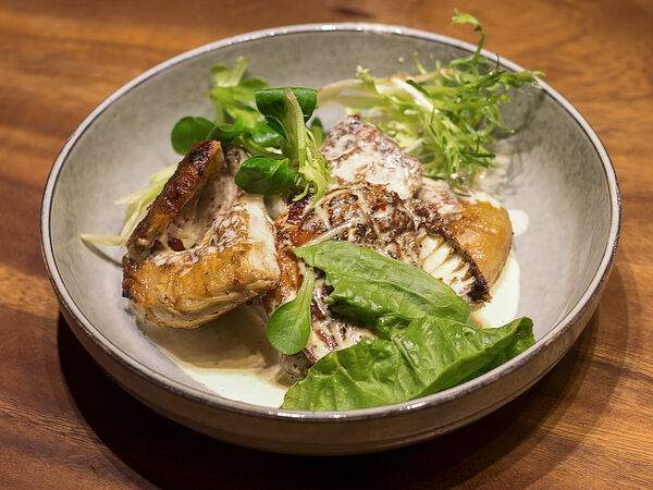 Сулугуни - Цицила чкмерули