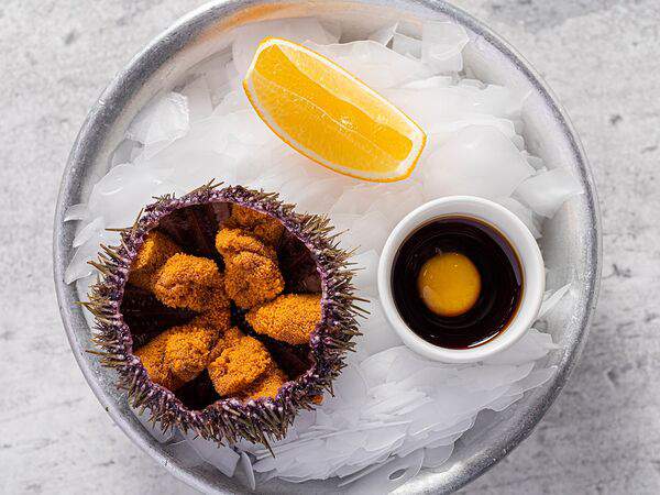 Rusalka - Морской Ёж