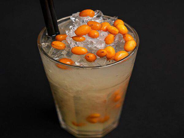 Mr. Fox - Лимонад Облепиховый