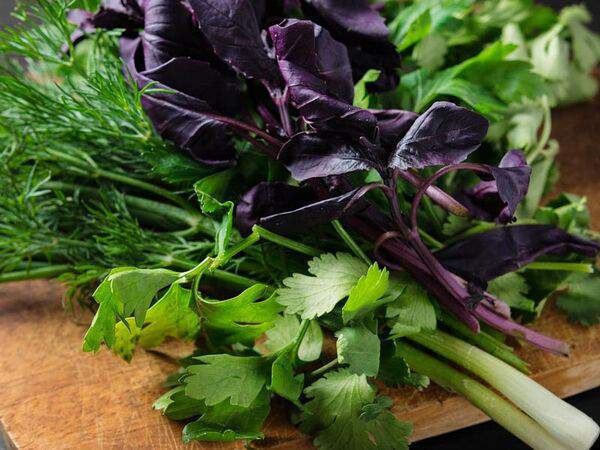 Шашлык №1 - Ассорти из зелени