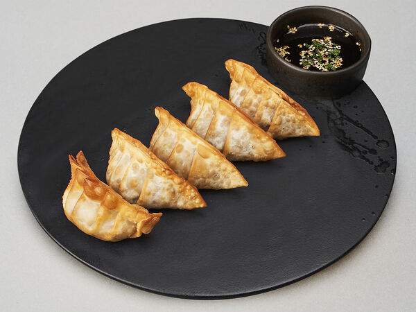 Mojo - Гедза говядина жареная