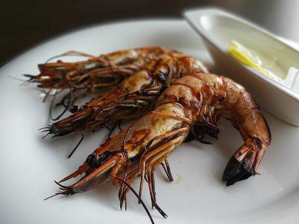 Aquarela - Тигровые креветки