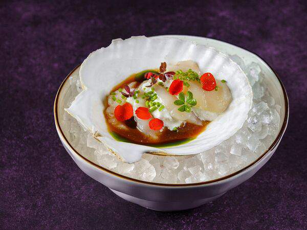 Некрасов - Севиче из гребешка