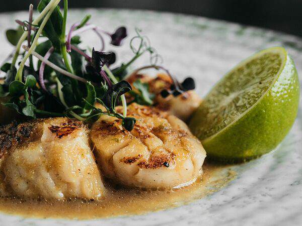 Shima - Гребешок с имбирно-трюфельным соусом