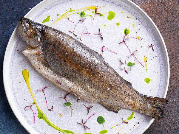 Fergana - Форель речная