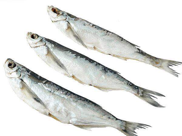 Astrakhanfish - Чехонь вяленая