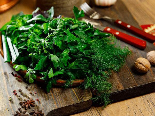 Мангал & гриль - Ассорти из зелени