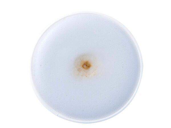 Coffee Like - Латте большой