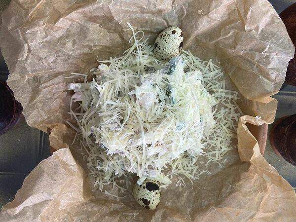 Грузинские каникулы - Салат Перепелиное гнездо