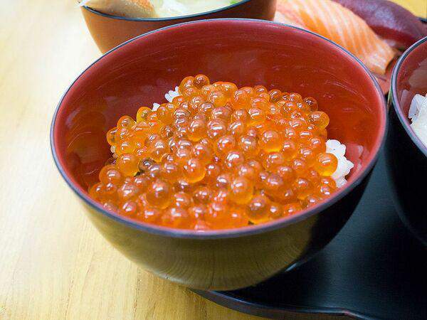 Цветение Сакуры - Икура Донбури