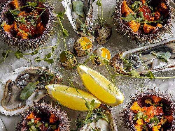 Ресторан Pelican в Мурманске