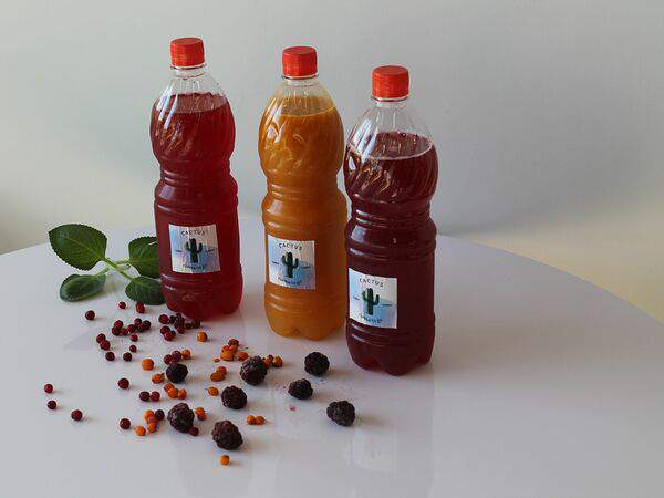 Cactus - Морс собственного приготовления из облепихи