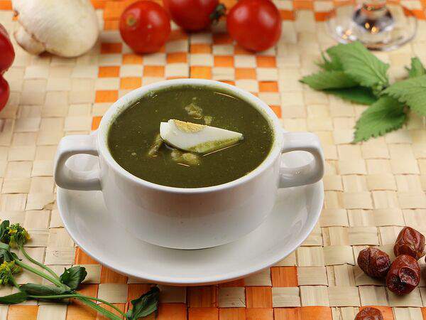 Камелия - Суп из шпината