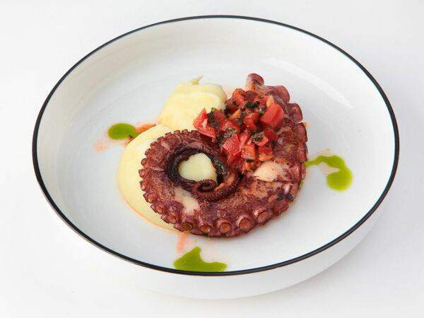 Colors Сafe - Осьминог с картофельным пюре и томатами