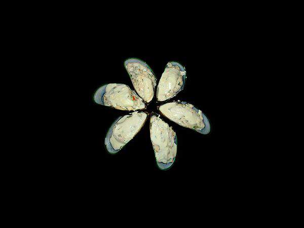 Rolland - Мидии в сливочном соусе