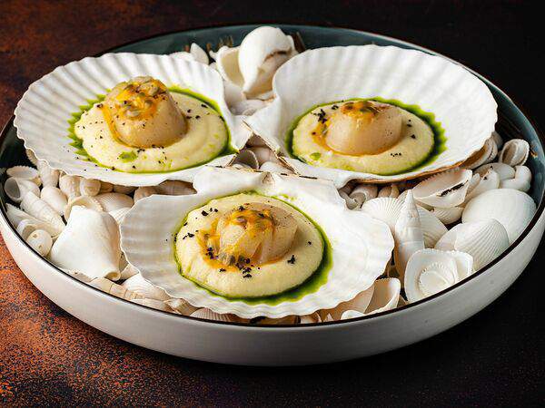 Tritonia - Морской Жемчуг