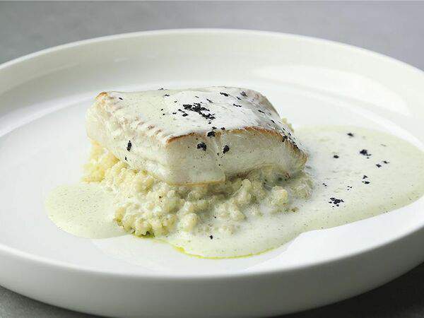 Гранд Буфет - Палтус, кускус, воздушный пекорино