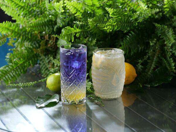 Dong po - Тайский лимонад