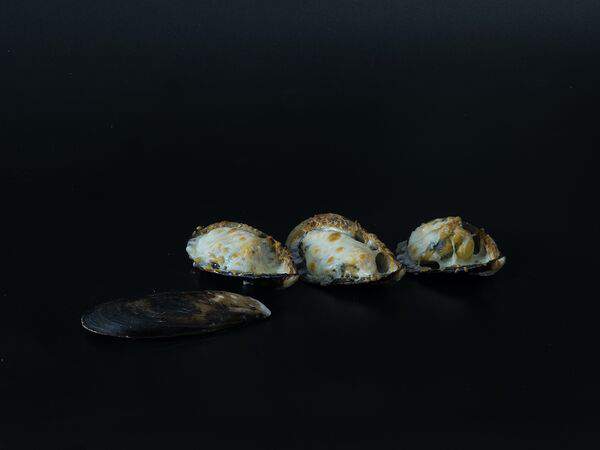 New Woker - Мидии, запечённые с сырным соусом и васаби