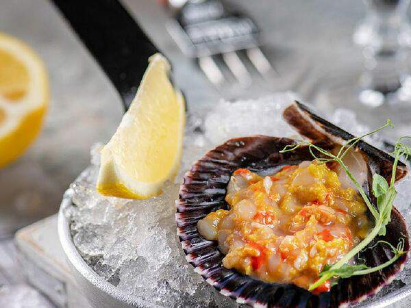 Вепрево колено - Тартар из гребешка