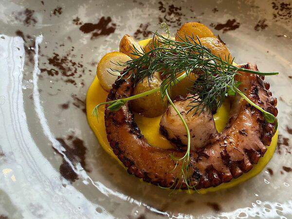 Рыбы бы - Осьминог с картофелем и шафрановым соусом