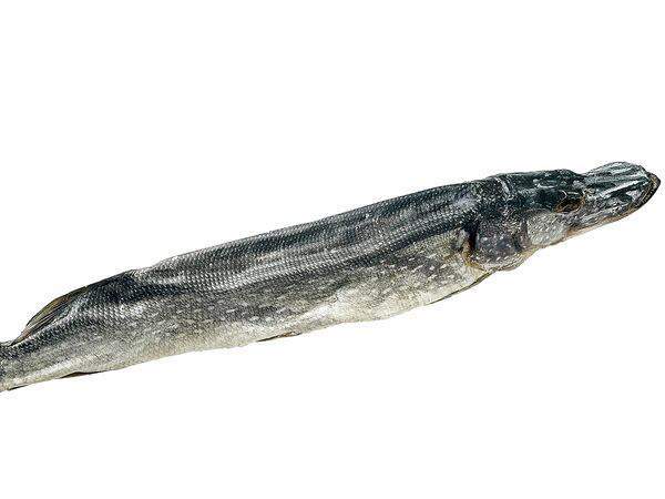 Astrakhanfish - Щука вяленая