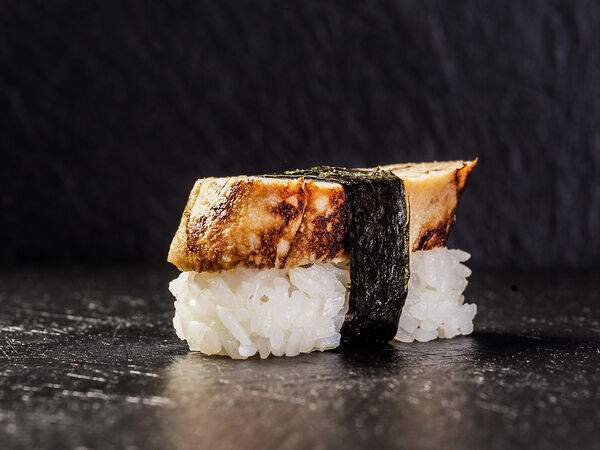 Terra - Тамаго