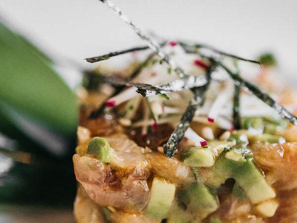 Shiba - Тартар хамачи