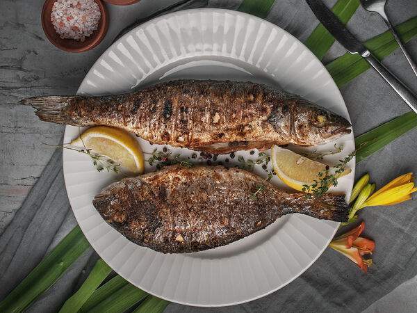 Самеба - Дорада