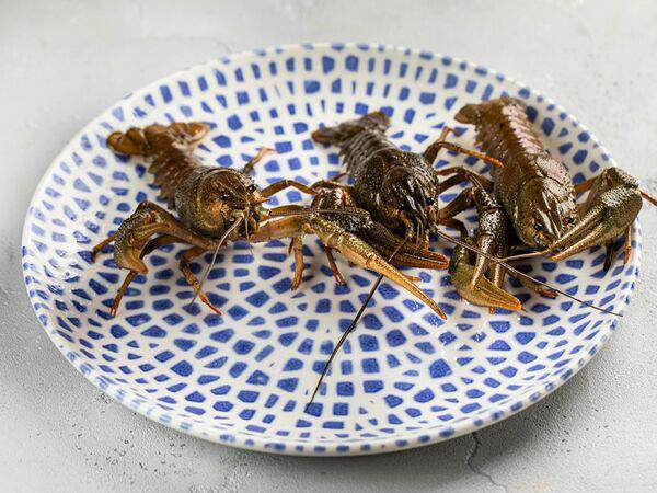 Fish Box - Раки живые