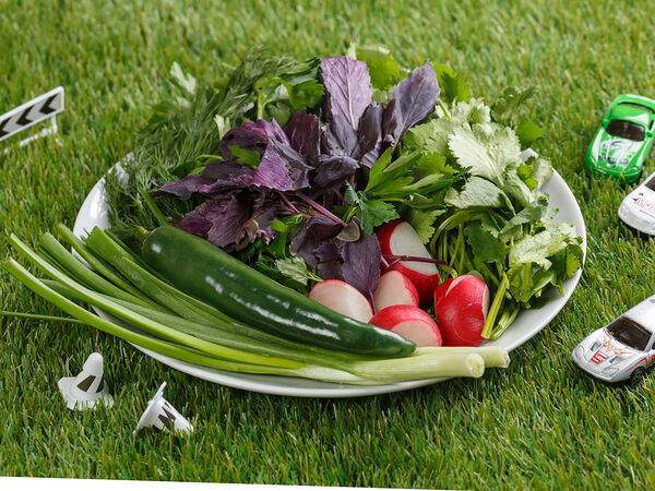 Pit stop - Зелень ассорти