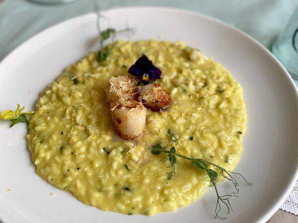Ristorante Da Claudio - Ризотто с лимончелло с гребешками