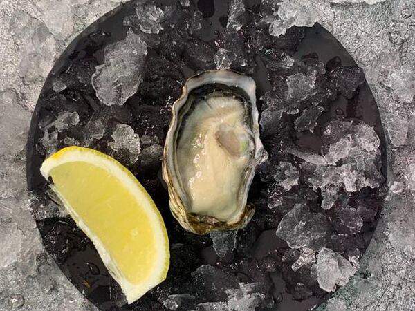 Delicates74 - Устрица Розовая Джоли