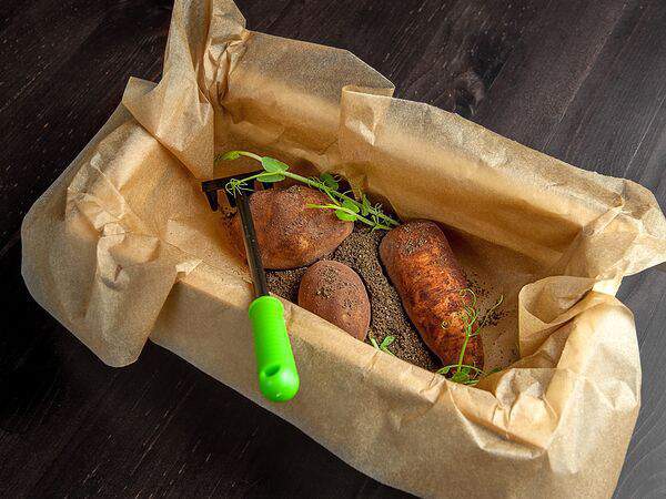 Территория - Твой огород