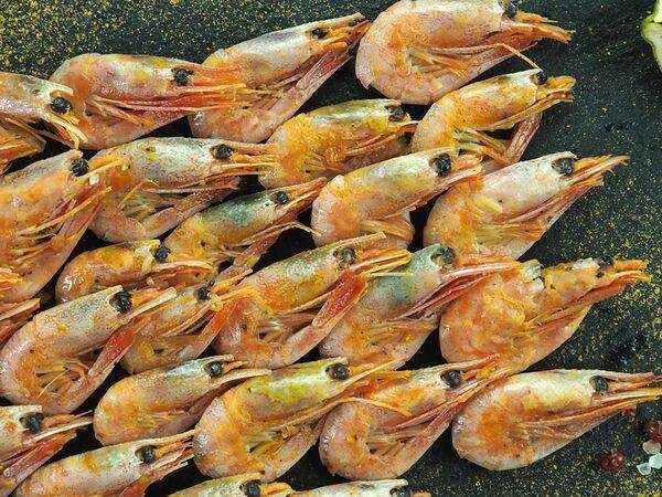 Философия - Атлантические креветки