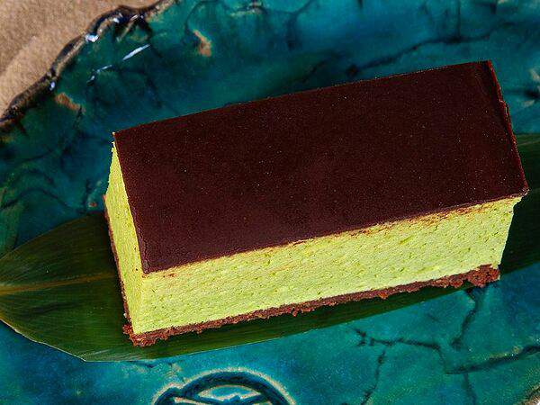 Shiba - Кастера