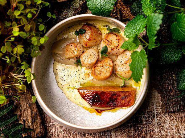 Red wall - Морские гребешки с фуа-гра и пюре из топинамбура