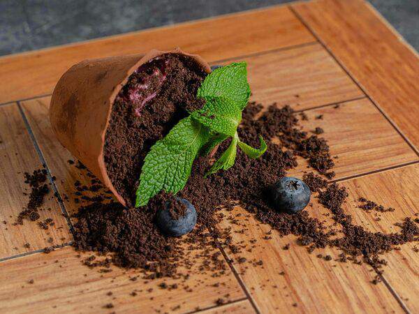 Macarena - Разбитый цветок