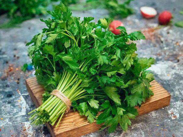 Батони - Кинза свежая