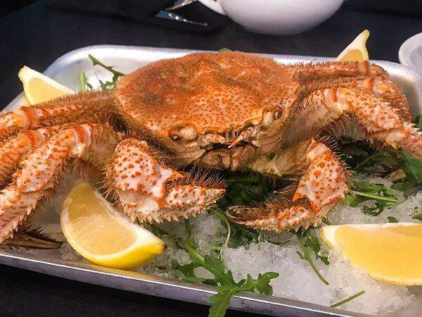 Dorada Rada - Краб волосатик