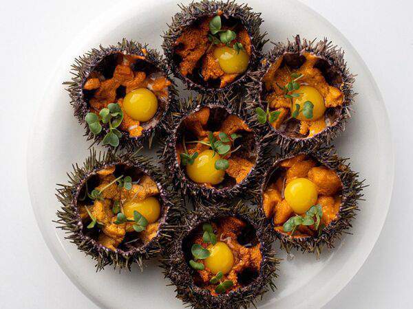 Delicates74 - Сет 7 жизней