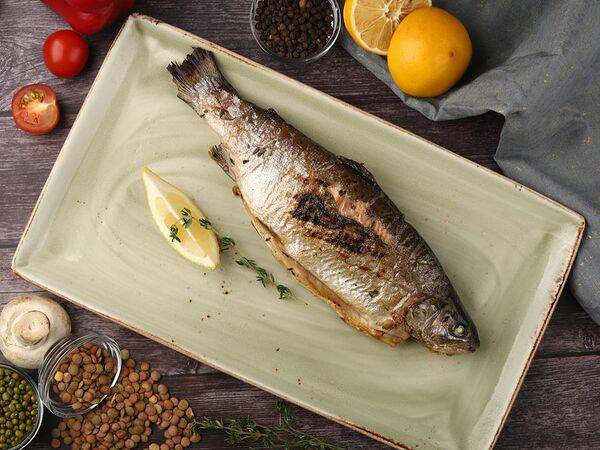 Мистер Ягер - Форель радужная