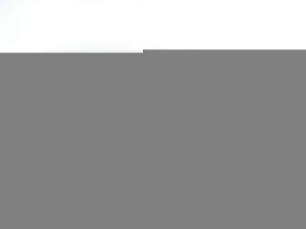 Rollcity - Жареный ролл с крабом