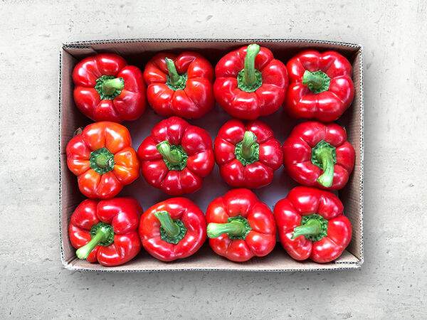 Чайхона №1 Тимура Ланского - Перец болгарский красный (ящик 4,5 кг)