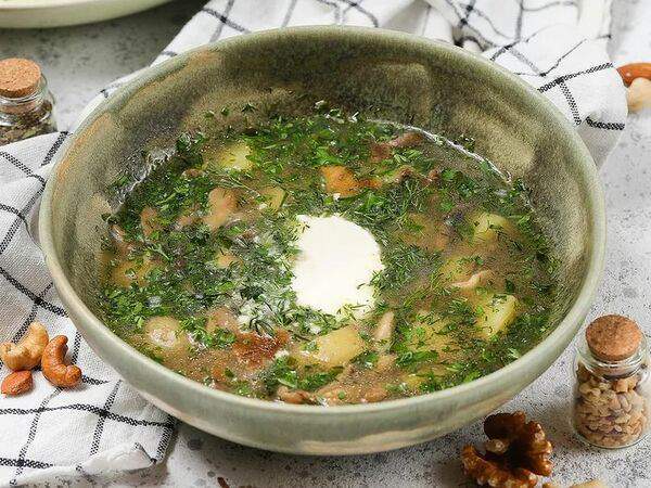 Spritz place - Грибница